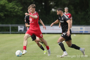 Essingen_20260530-12853