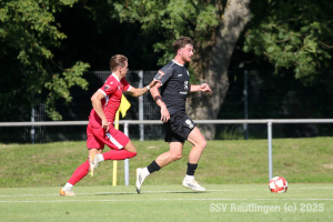 Neckarsulm_20250809-5718