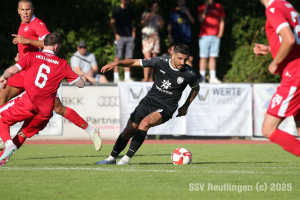 Neckarsulm_20250809-5812
