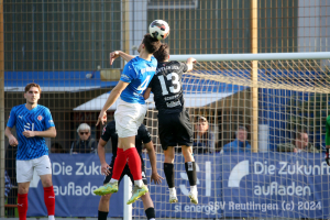 Mannheim_20241026-5522