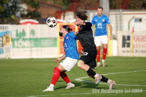 Mannheim_20241026-5579