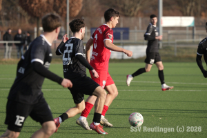 Oberensingen_20260124-10437