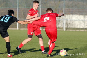 Testspiel - TSG 1899 Hoffenheim U23 vs. SSV (12.02.23)