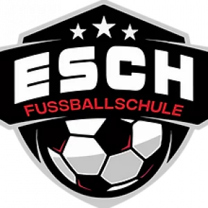 Fußballschule Esch